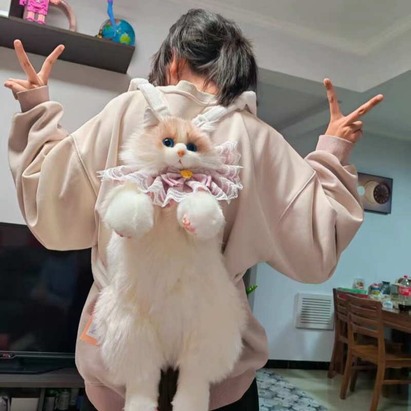 2026 Yeni Stokta Ragdoll Kedi  - Travel Accessories Ideas incelemesi ve fiyatı